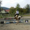 Babie Lato 2016